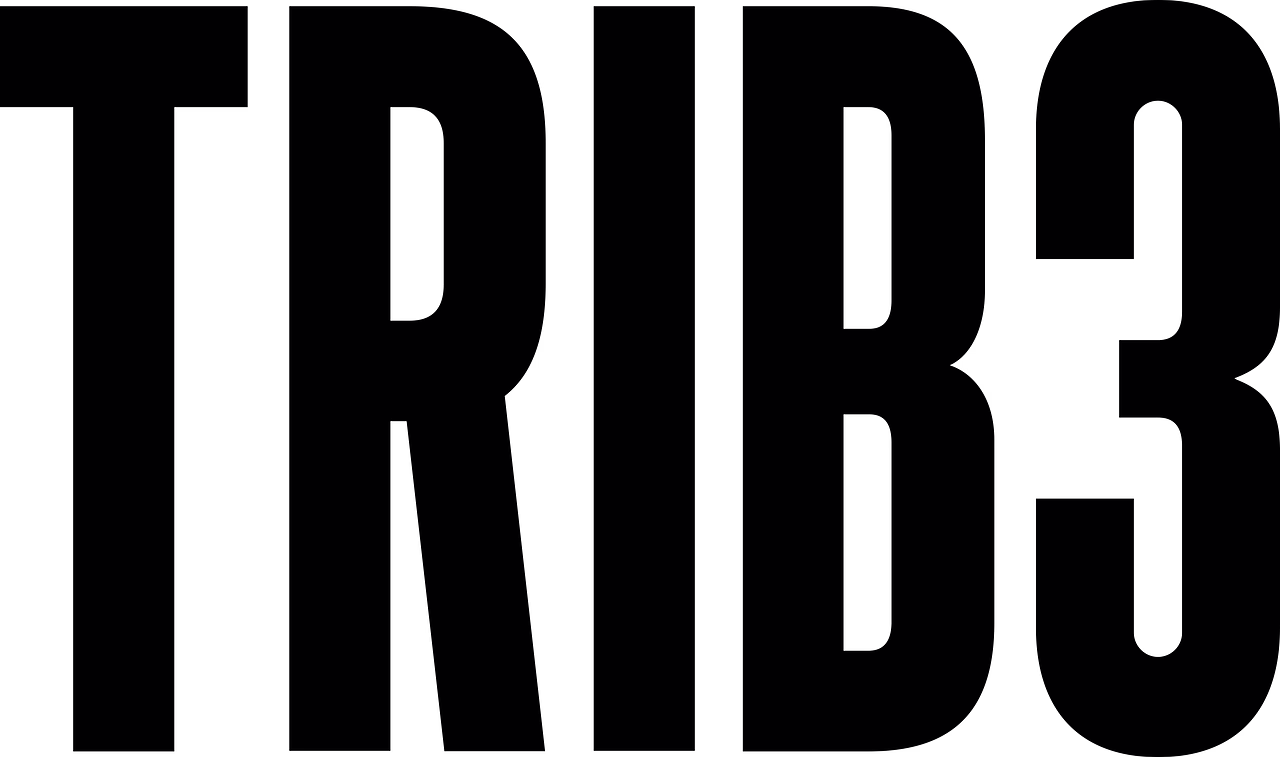 Pulse Studio Logo